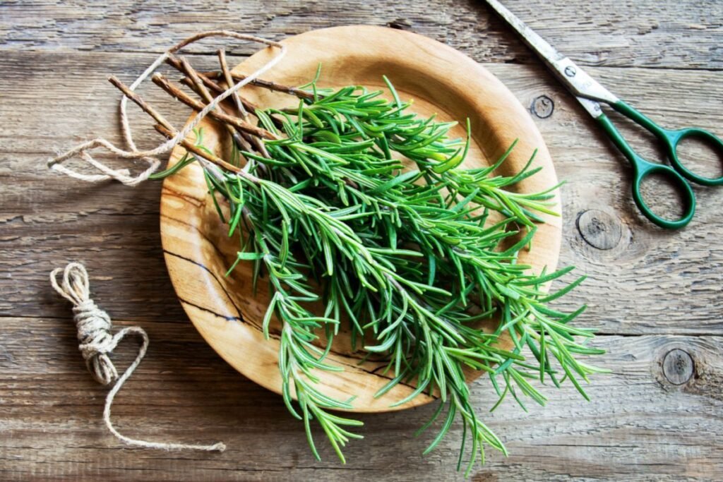 rosemary smudge benefits