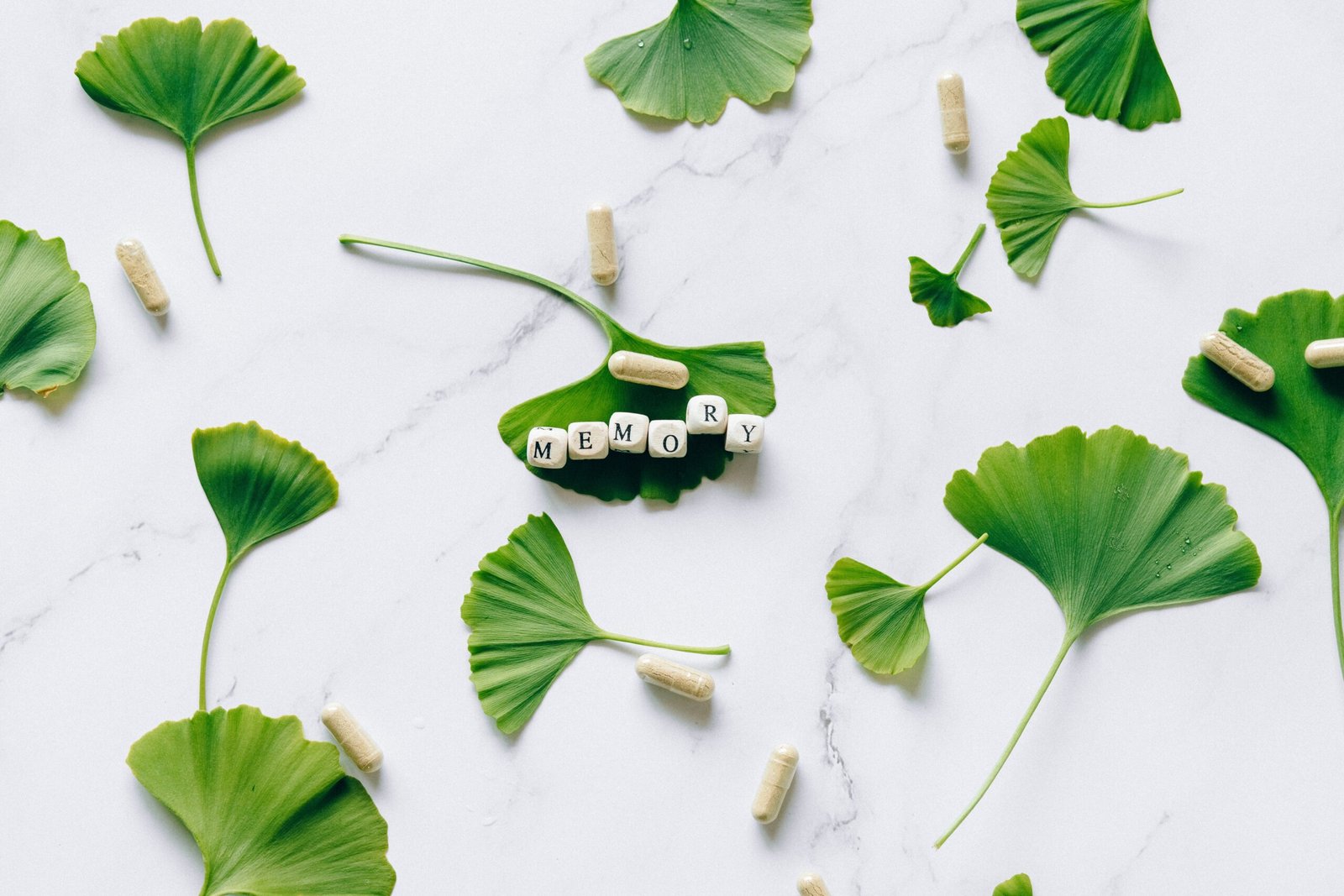 ginkgo leaf meaning